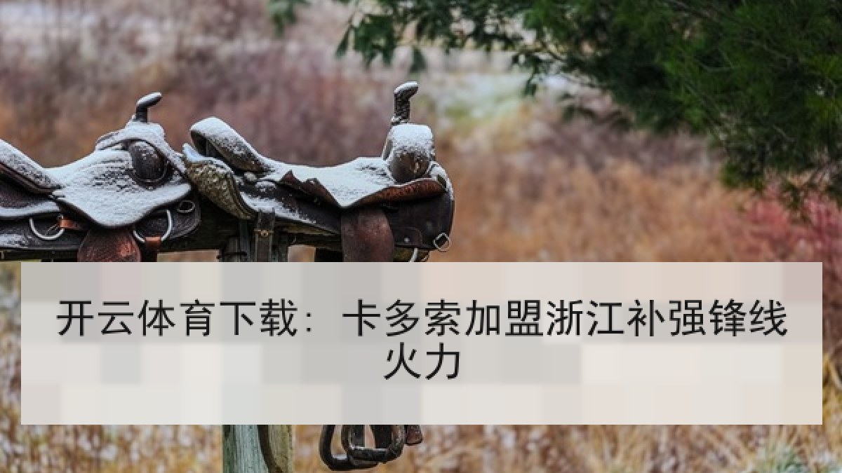 开云体育下载: 卡多索加盟浙江补强锋线火力